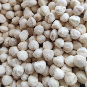 Moringa Kernel Seeds