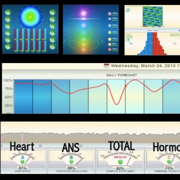 CHI Fractal Bioanalysis