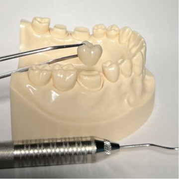 Zirconia dental crowns