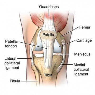 Knee injury treatment in NY