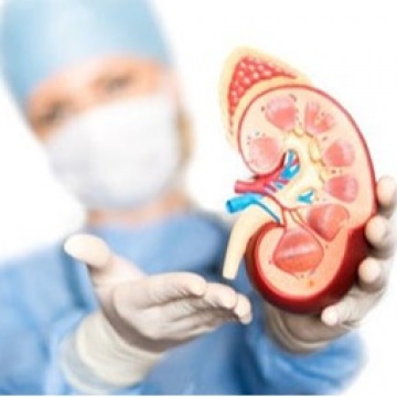 Nephrology Doctors in Downtown, Brooklyn NY