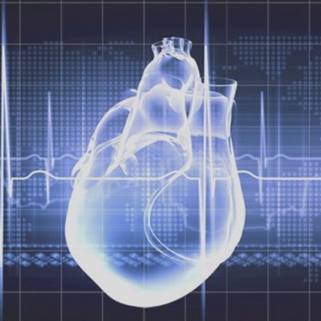 Cardiac testing in NYC