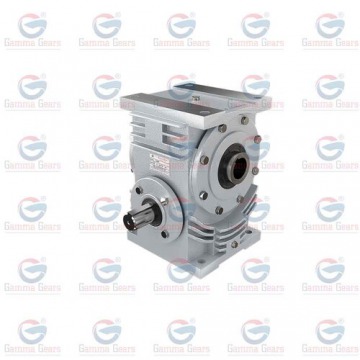 HORIZONTAL WORM REDUCTION GEARBOX PHARMACEUTICAL MACHINERY