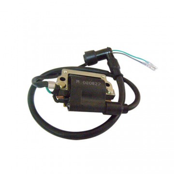 Ignition Coil For Automobiles, Item Weight 358 gm