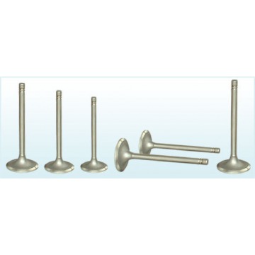 Industrial Engine Valves