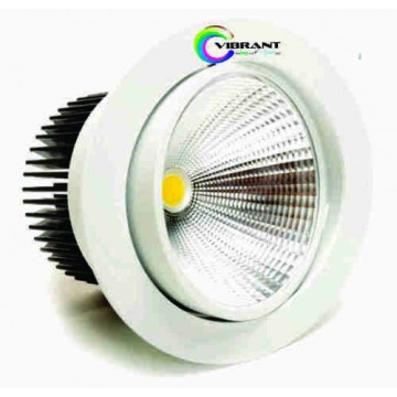 Led Down COB light