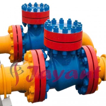 Precision Engineered Check Valve