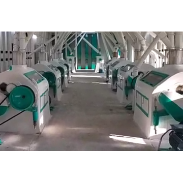 Roller Flour Mill Plant