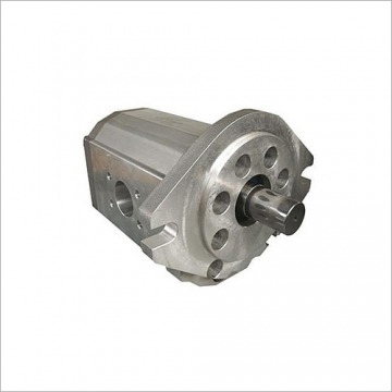 Settima Internal Gear Pump