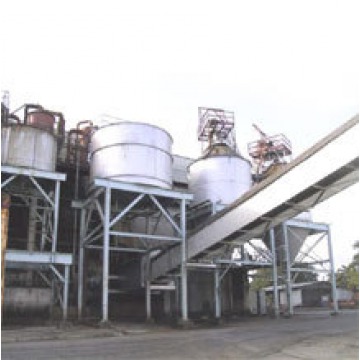 Sugar Plants